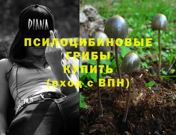 jwh Ельня