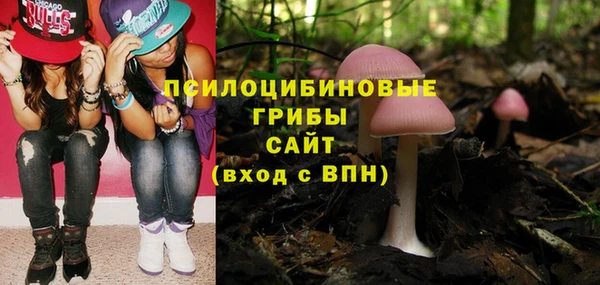 экстази Елабуга