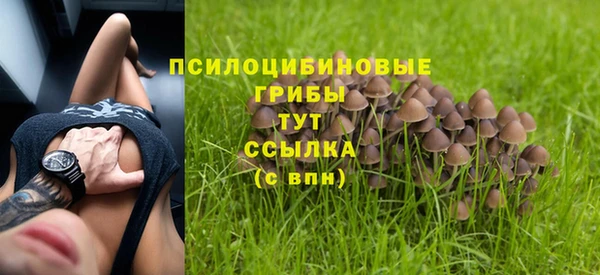 дживик Елизово