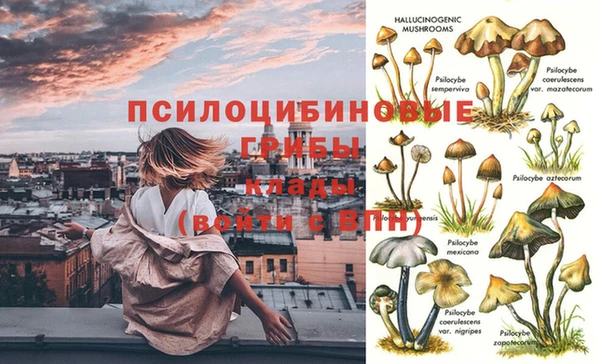 экстази Елабуга