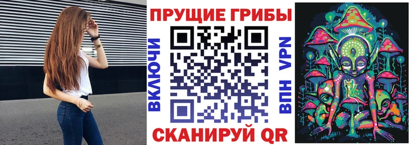 Псилоцибиновые грибы ЛСД Зеленоградск