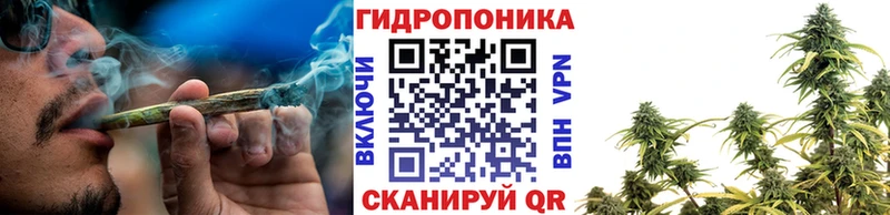 MEGA ONION  Зеленоградск  даркнет наркотические препараты  купить   Каннабис VHQ 